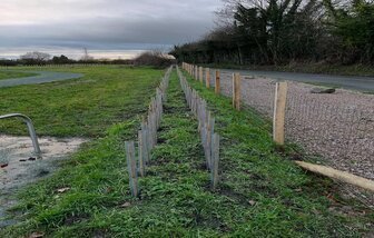 Forestry-Contracting-UK.jpg